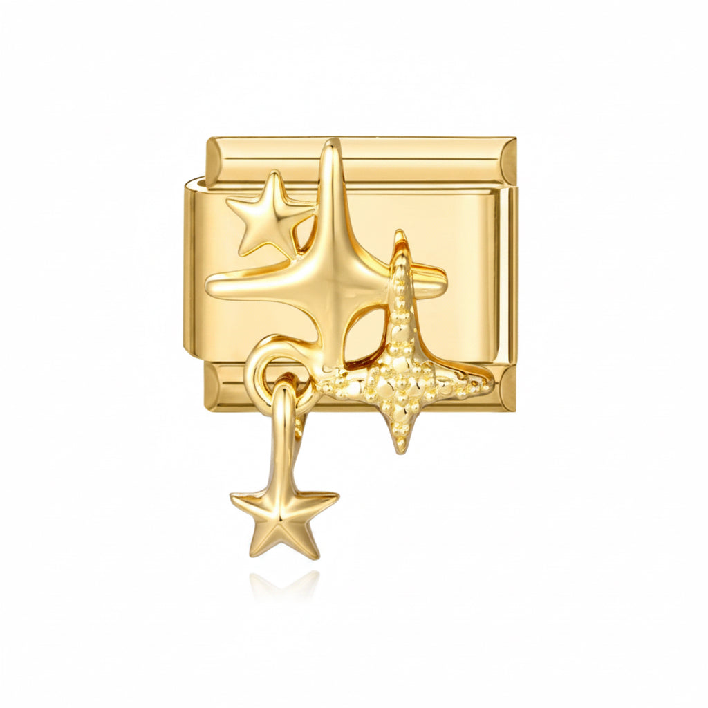 Charm 3 étoiles 🌟🌟🌟